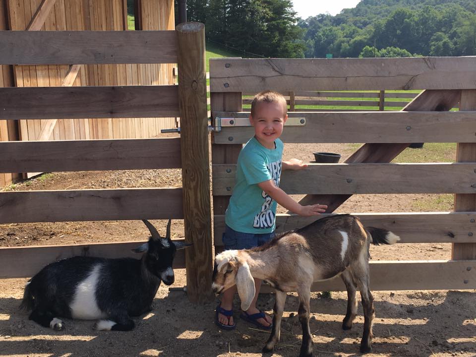 Kid with two goats at Fox's High Rock Farm