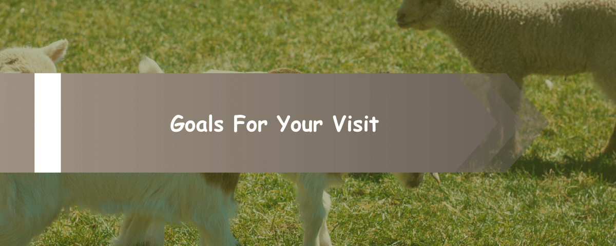 Goals For Your Visit