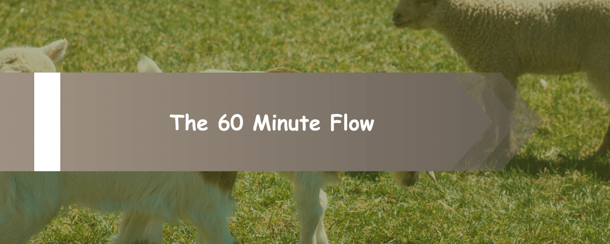 The 60 Minute Flow