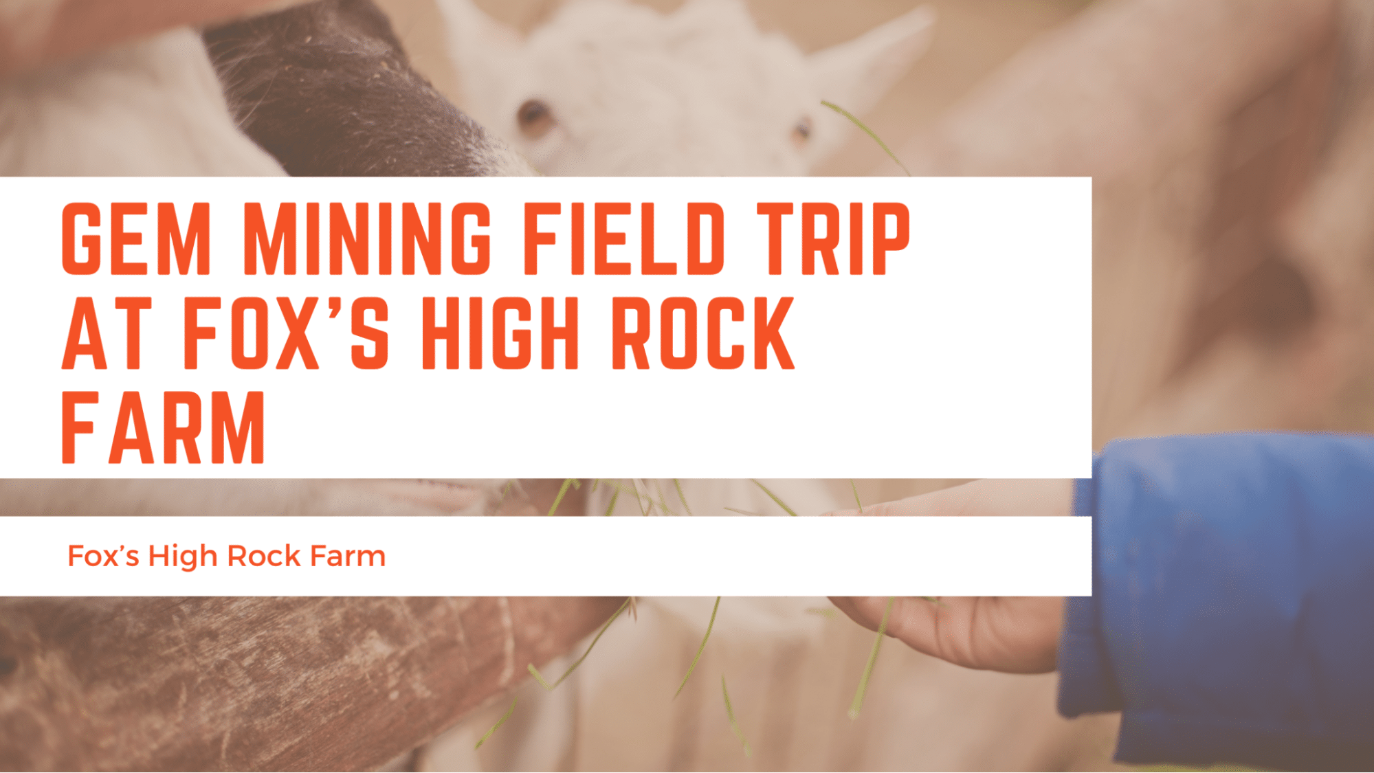 Gem Mining Field Trip